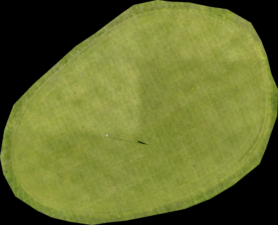 Straight-overhead photo of a golf green, appearing flat and even