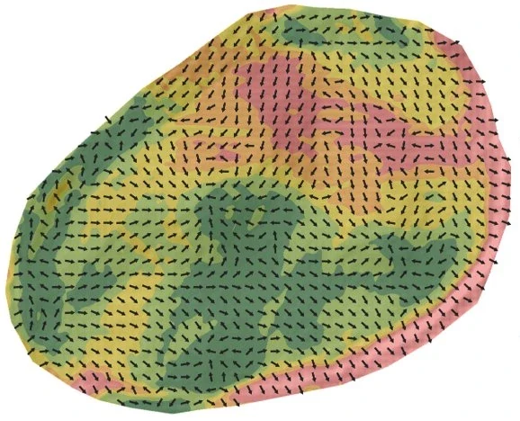 Same green analyzed for slope percentage and fall-line direction, color-coded from 0% to over 4%