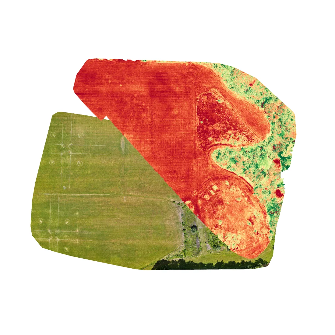 Split-view composite of turf: plain RGB next to a modified simple ratio vegetation stress index
