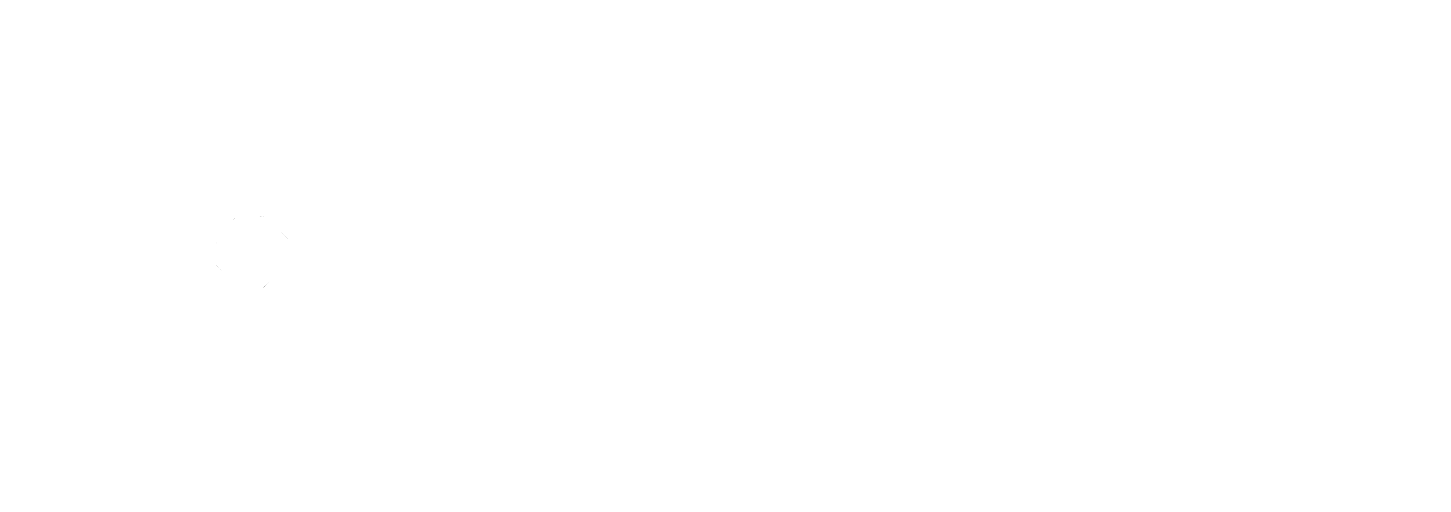 Blue Nose Aerial Imaging logo
