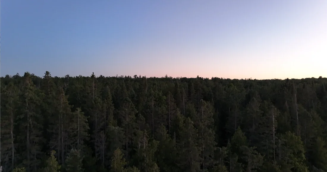 Aerial still of a forest treeline at dusk with a colorful sky