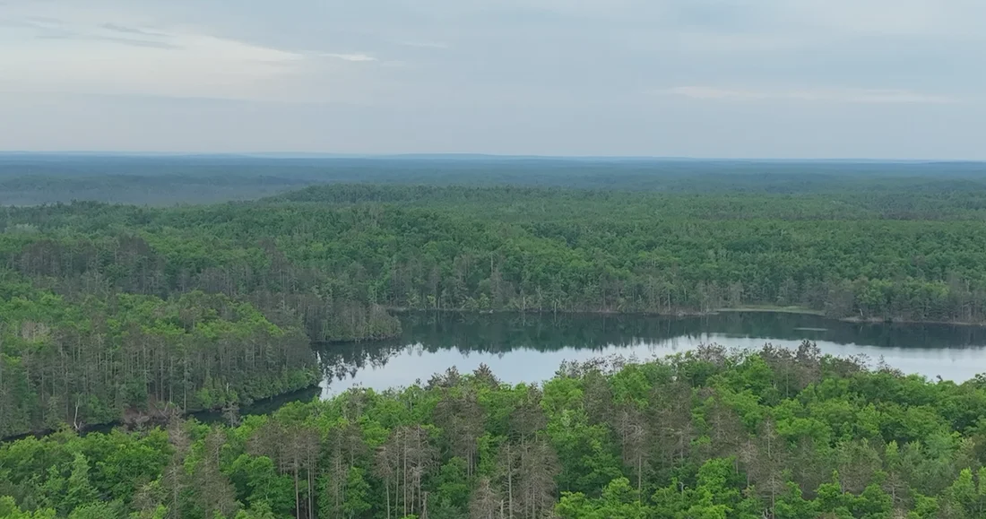 Scenic aerial still teaser image